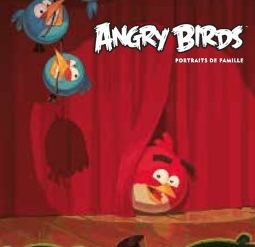 Angry Birds : Portraits de famille