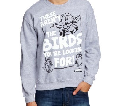 Sweat (small, medium, large, xl) « these are not the birds you’re looking for! » Adulte