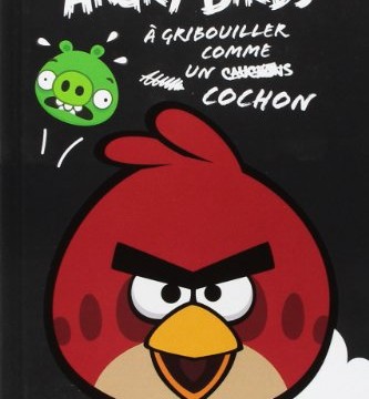 Carnet de notes – Angry Birds -160 pages