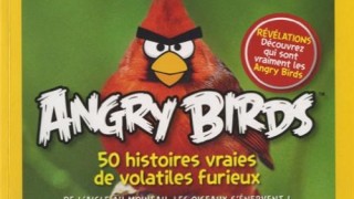Angry Birds, 50 histoires vraies de volatiles furieux : De l’aigle au moineau, les oiseaux s’énervent !