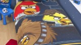 Parure de lit housse couette réversible Angry Birds -Star Wars -100% coton (vendu par Character World)