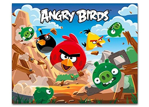 Tableau imprimé 40x50cm Angry bird – 50 x40