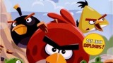 Méga coloriages et activités  : Angry Birds