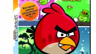 ( Windows 7 / Vista / XP) Angry Birds : Seasons – Les saisons [import Grande Bretagne]