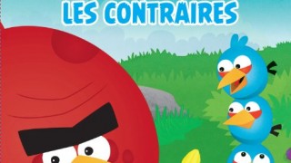 Les contraires   : Angry Birds